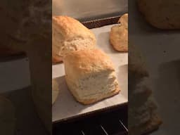 Have you Tried Sourdough Biscuits??