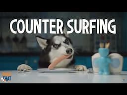 How To Stop Counter Surfing With A Simple 3-Step Formula