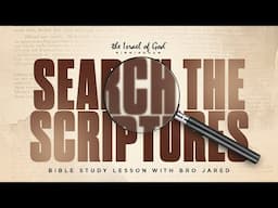 IOG Birmingham - "Search The Scriptures"