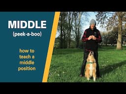 Puppy Trick Training | How to teach a Dog 'Middle' / 'Peek-A-Boo' | Full Training Tutorial