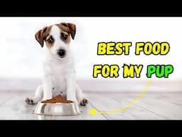 What's the BEST Food for MY Pup