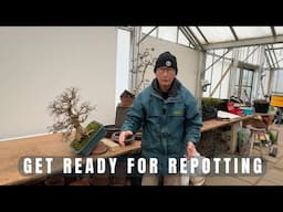 Get Ready for Repotting