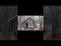 Bushcraft Survival Shelter  #bushcraft #bushcraftshelter  #survival #shelter