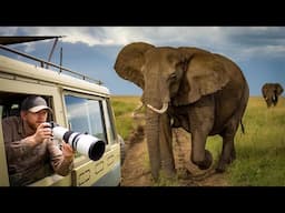 SAFARI OF A LIFETIME - Serengeti National Park