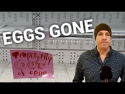 2025 Egg & Food Crisis How Your Life Will Change