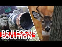 My Canon R5 Mark II Won't Focus | Whitetail Deer Photography