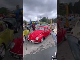 ESSE ROUBA A CENA! 😍 #fusca #volkswagen #viralvideo #shorts #reels #aircooled #vw #beetle #brasil