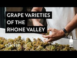 The Different Grape Varieties And Styles Of The Rhone Valley Wine Region