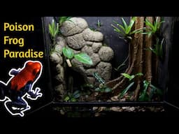 Creating a Massive Jungle Vivarium for Poison Dart Frogs - Vivarium Rebirth Part 4