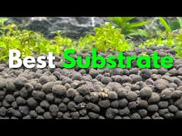 The Best Substrates for Aquascaping & Planted Aquariums