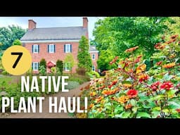 7 Native Beauties Unveiled: Mt Cuba Center PLANT HAUL!!