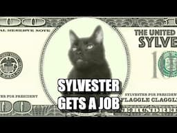 Talking Kitty Cat #67.5 - Sylvester Gets A Job