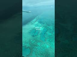 bucket list moment 🥹 #greatbarrierreef #scenicviews