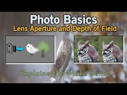 Photo Basics - Aperture and Depth of Field