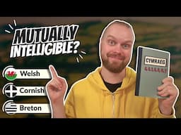 Welsh Language | Can Breton and Cornish speakers understand it?