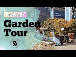 January 2025 Garden Tour - Improving on My Winter Interest! #northtexasgarden