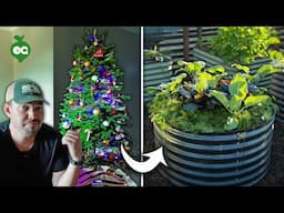 How Smart Gardeners Use Their Old Christmas Trees🎄