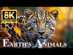 EARTH’S ANIMALS 8K ULTRA HD - Wildlife Around the World