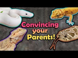 How to Convince your Parents to let you get a Reptile!