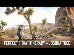 288: Perfect 1 Day Itinerary for Joshua Tree National Park - Complete Day Trip Travel Guide