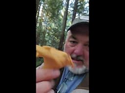 Foraging Minute: The Golden Chanterelle