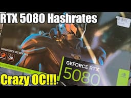 RTX 5080 REAL Hashrates TESTED - This Card Is A OC BEAST!!