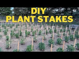 DIY Plant stakes using 2 by 4