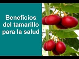 Beneficios y propiedades medicinales del tamarillo o tomate de árbol