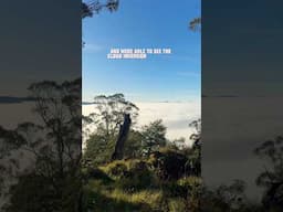 Above The Clouds! AAWT Day 20 #hiking