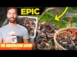 Morel Expert Takes Me To An EPIC Burn Site Haul (Harvest and Cook!!)