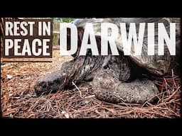 Our Galapagos Tortoise has Died