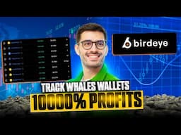 Track WHALES WALLETS For 10000% Profits