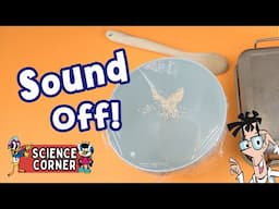 EXPERIMENT: See Sound Vibrate with Salt!