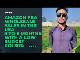 Amazon Fba Wholesale Sales in USA Market 3 to 6 Months with low budget Roi 30%