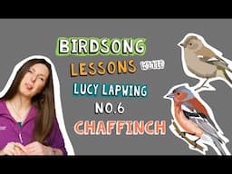 How to Identify Chaffinch Song - Episode 6 of Birdsong Lessons with Lucy Lapwing