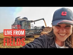 🔴LIVE FROM FIELDS - LAVERDA M400 - RICE HARVEST 2017