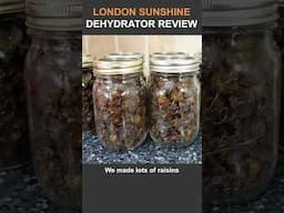 London Sunshine Dehydrator Review