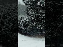 Snow In Columbus, Georgia 2025