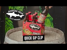 Dogfish Head Quick Sip Clip: 90 Minute Imperial IPA