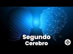 4 Pasos para Crear tu Segundo Cerebro y Organizar Mejor tu Vida