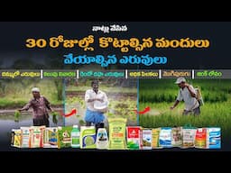 Paddy Cultivation | eruvula Yaajamanyam | Fertilizer management  in Paddy | Agriculture