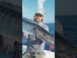 Best wahoo fishing spot in the world?