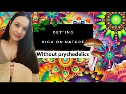 Getting High On Nature Without Using Psychedelics | Biophilia