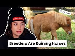 What is happening to horses?!