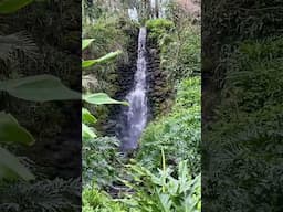 Rainbow Springs State Park- Dunnellon, Florida