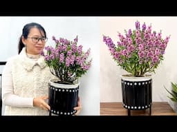 Upgrade your plant pots by recycling old plastic boxes, flower care tips