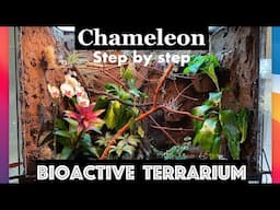 How to build a Chameleon Bioactive Terrarium!