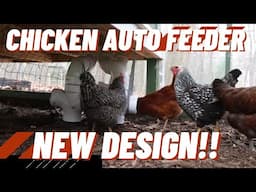 Improved no waste chicken auto feeder