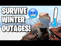 Keeping Reptiles Alive During Freezing Temps!