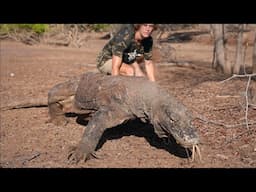 Chased By The Largest Lizard On Earth! (Komodo Dragon)